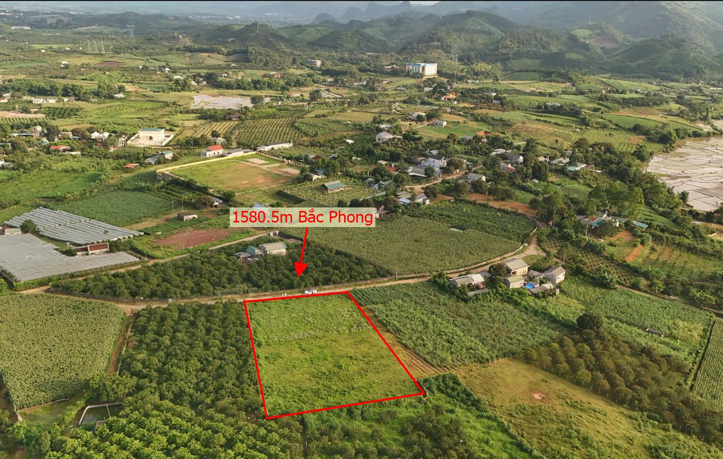 Hình ảnh Bán Lô Đất 1580.5m Tại Bắc Phong Cao Phong Bám Đường Bê Tông Ô Tô Vào Tận Đất View Cánh Đồng Thoáng Mát Giá Đầu Tư