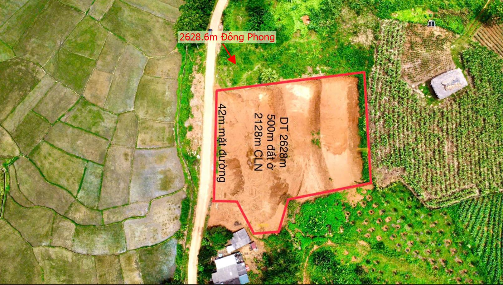 Hình ảnh Bán Lô Đất 2628.6m Tại Đông Phong Cao Phong Bám Đường Bê Tông Ô Tô Vào Tận Đất Dân Cư Đông Đúc Dân Cư Đông Đúc Thân Thiện View Cánh Đồng Thoáng Mát Giá Đầu Tư