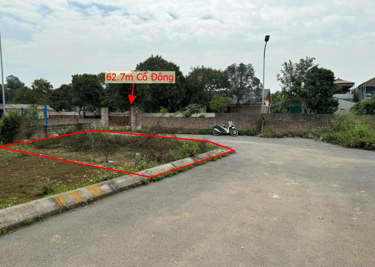 Hình ảnh Bán Lô Đất 60.7m Tại Cổ Đông Sơn Tây Bám Đường Bê Tông Ô Tô Vào Tận Đất Dân Cư Đông Đúc Giá Đầu Tư